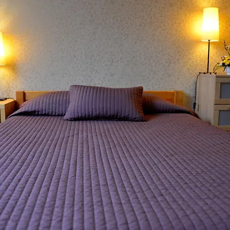 Otel Demians 3*